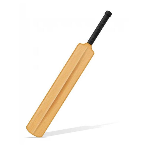 Cricket Bat