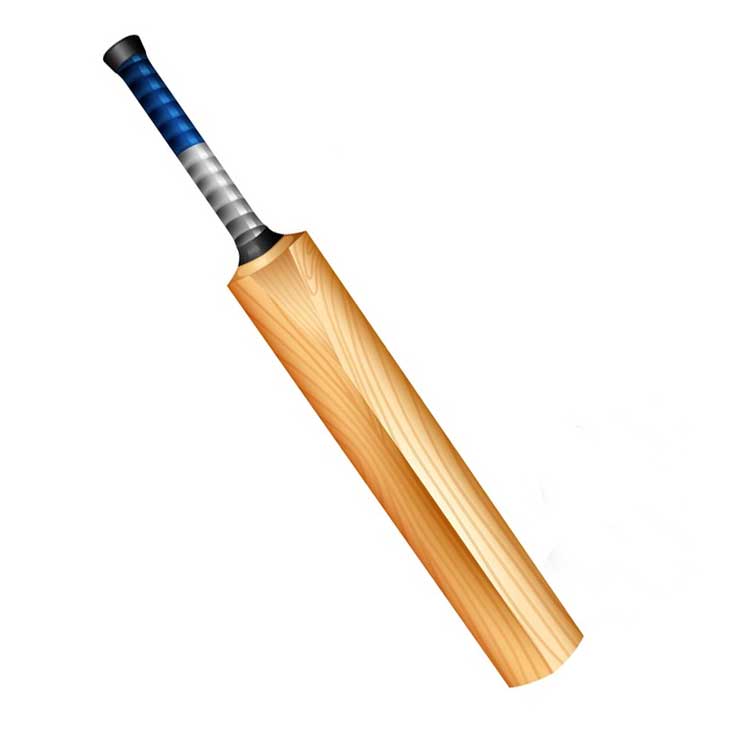 Cricket Bat