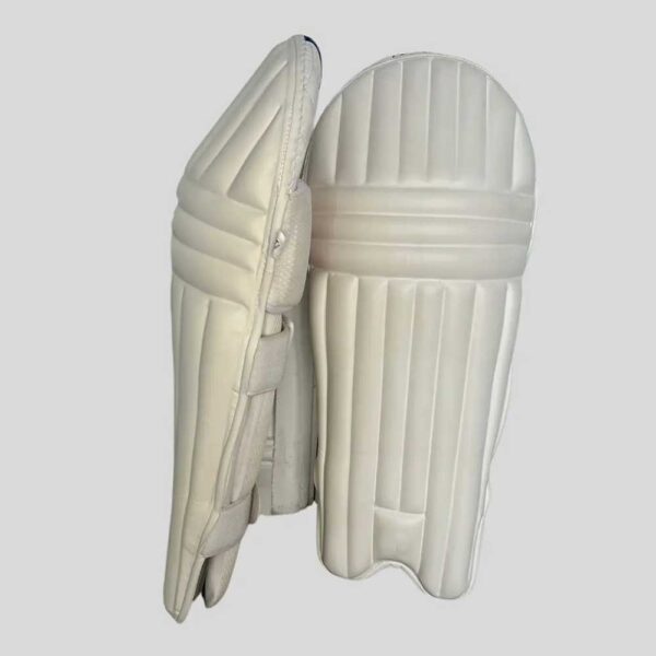 Cricket Pad