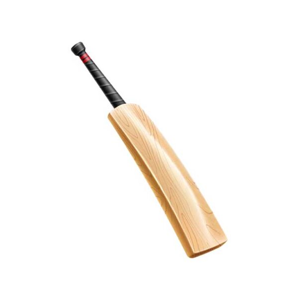 Cricket Bat